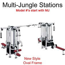 LF-Multi-Jungle-MJ-2024