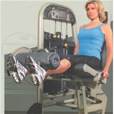 2001LegExtension_sc