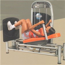 2003SupineLegPress_sc