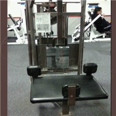 4200RotaryTorso_sc