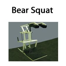 BearSquat