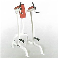 CF-2252-Vertical-Knee-Raise