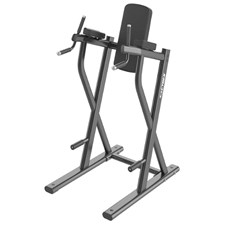 CI-DLR-Dip-Leg-Raise