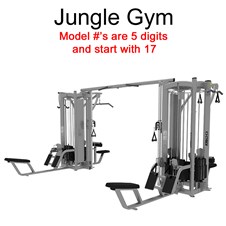 CYJungleGym