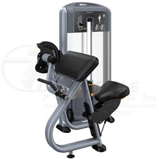 DSL204BicepCurl_sc