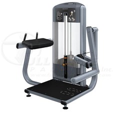 DSL618Glute_sc