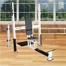 E248OlympicShoulderPress_sc