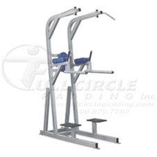 F617PullupDipLegRaiseW_sc