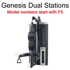 FMGenesis_2020