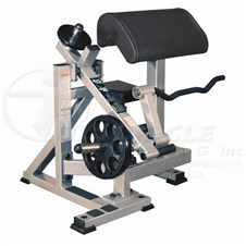 FW600BicepCurl_sc