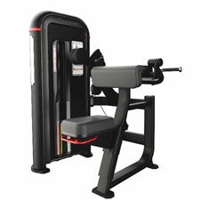 IPBA5-Bilateral-Arm-Curl