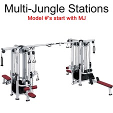 LFMultiJungle