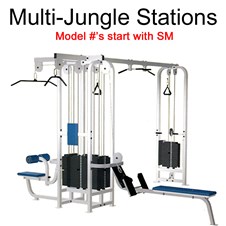 LFMultiJungleSM
