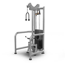 MG-947-02-Bicep-Triceps