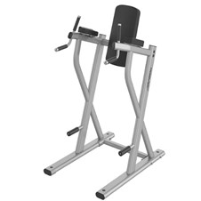 OP-DLR-Dip-Leg-Raise
