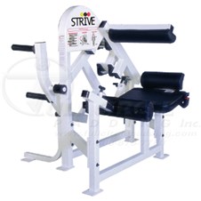 P110LowBackExtension_sc