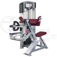 PA560BicepCurl_sc