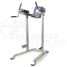 PF315VertKneeRaiseDipX500_sc