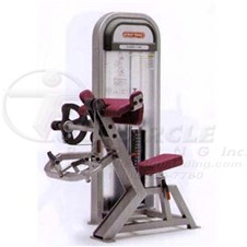 PRS5301BicepCurlW_sc