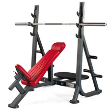 Panatta-Olympic-Inclined-Bench-1HP205B