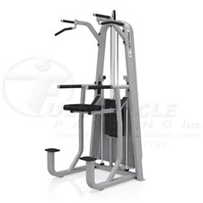 Precor10StationDipChin_sc
