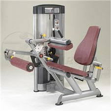 SP5100SeatedLegCurl_sc