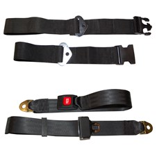 Seat-Belts-2024