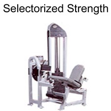 StriveSelect