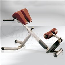 TechnogymLowerBackBenchx500_sc