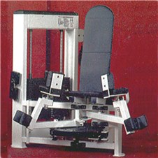 Trotter-Galileo-Abductor-Adductor
