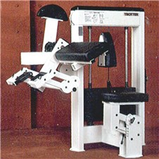 Trotter-Galileo-Arm-Curl