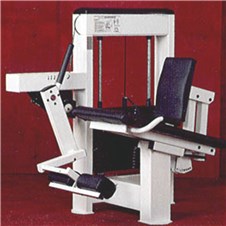 Trotter-Galileo-Leg-Extension