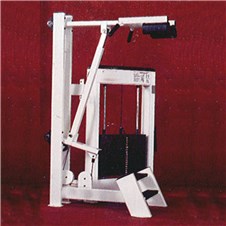 Trotter-Galileo-Standing-Calf