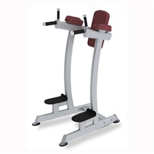 XFW6400-Vert-Knee-Raise-Dip