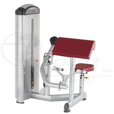 XL2600BicepCurl_sc