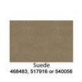 540056-GS-Suede-202