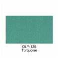 OLY-135-Turquoise-2025