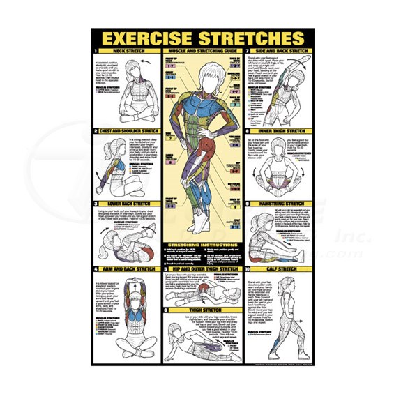 0CHNFC11BStreches