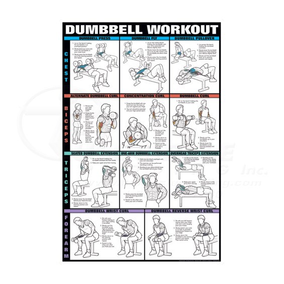 Dumbbell Workout Fitness Chart Chest, Biceps Triceps & Forearms Fitness  Chart