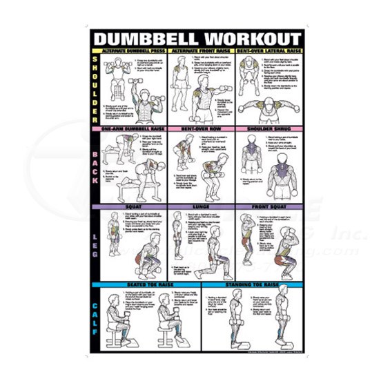 0CHNFC13BDumbbell
