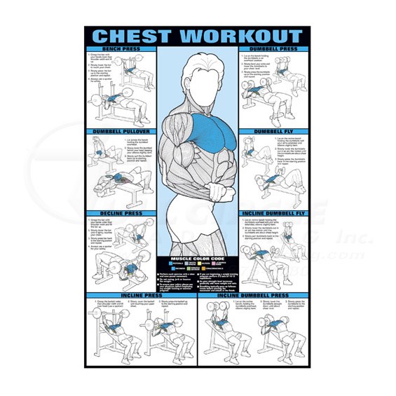 0CHNFC4BChest