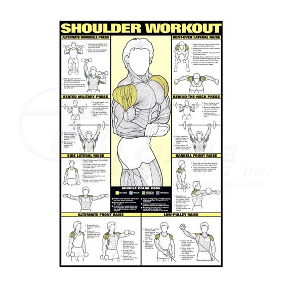 0CHNFC5BShoulder