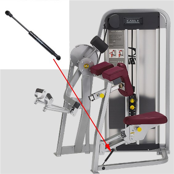 11070-Arm-Curl-CYWE102
