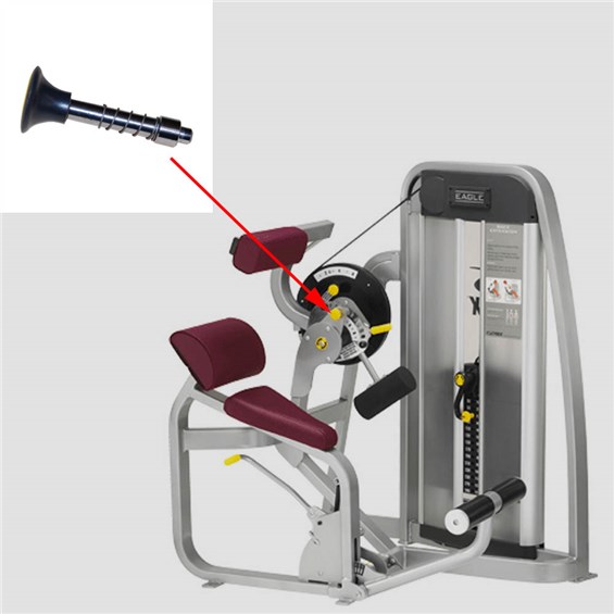 11100-Back-Extension-CYW350-2