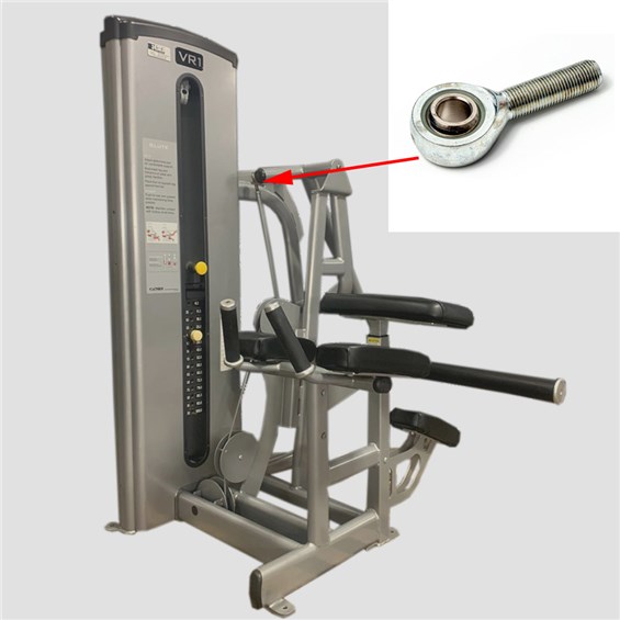 13170-Glute-CYW061