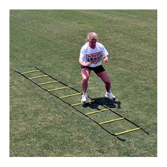 30692Ladder