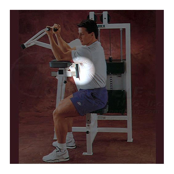 4040ArmCurlChest