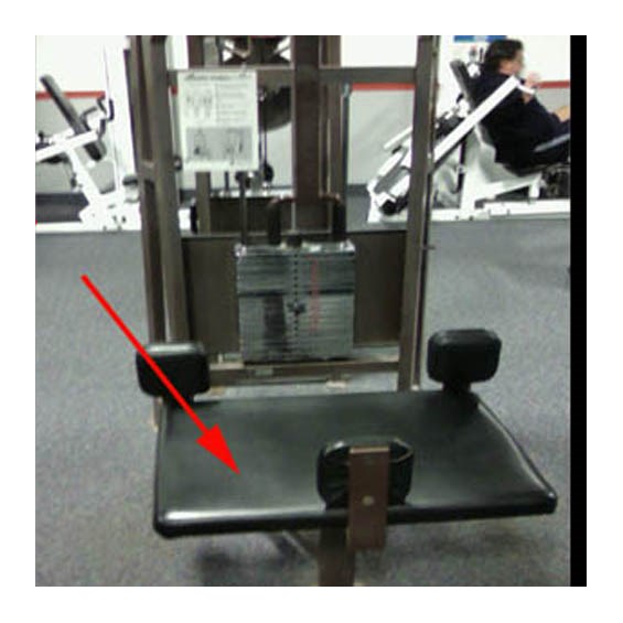 4200RotaryTorsoSeat
