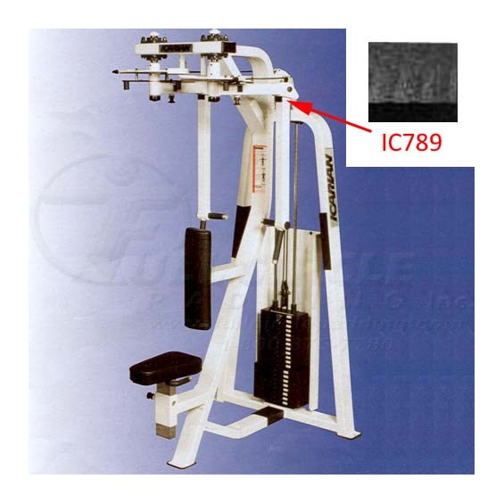 505icRearDeltPecFly789