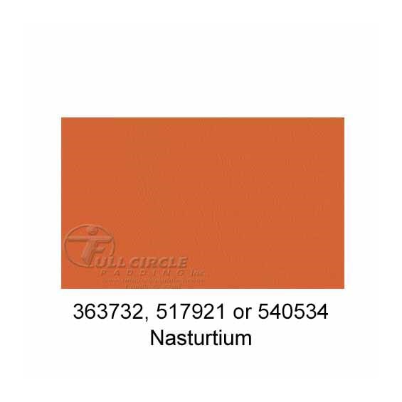 517921-Nasturtium-2024